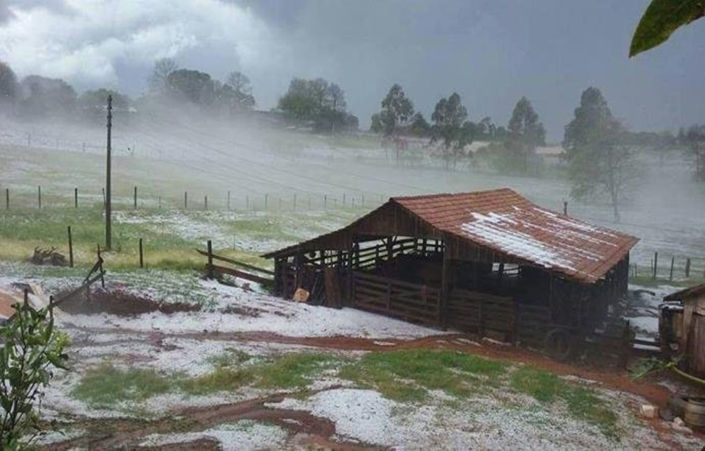 Ir para  <p>Temporais ocorridos nessa quarta-feira no Rio Grande do Sul causaram estragos em alguns munic&iacute;pios. Na regi&atilde;o da Zona da Produ&ccedil;&atilde;o, Frederico Westphalen, onde houve chuva torrencial, vento e...